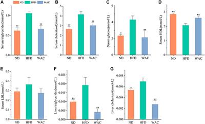Aqueous extract of Artemisia capillaris improves non-alcoholic fatty liver and obesity in mice induced by high-fat diet